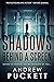 Shadows Behind A Screen (Th...
