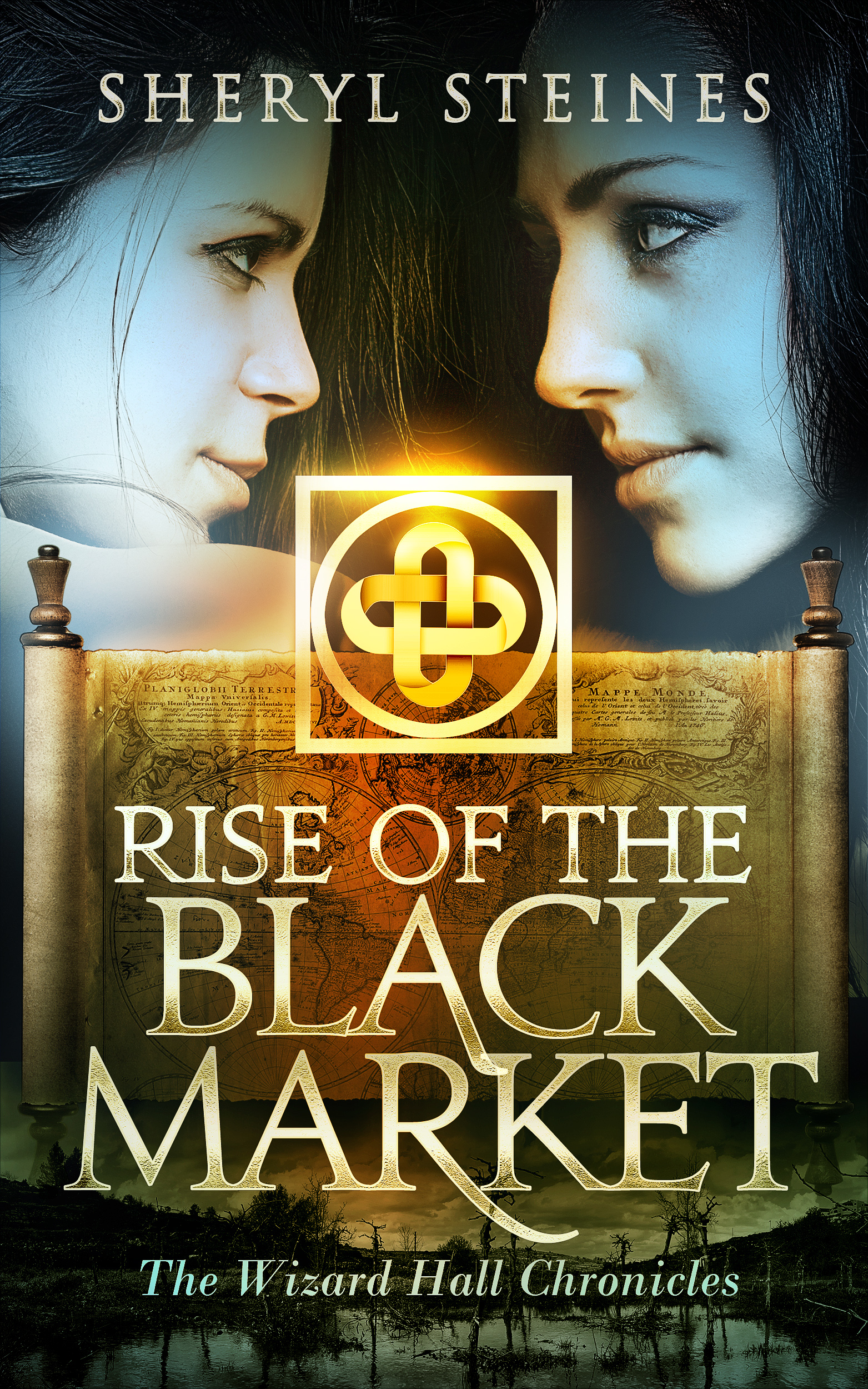 Rise of the Black Market (The Wizard Hall Chronicles #5)