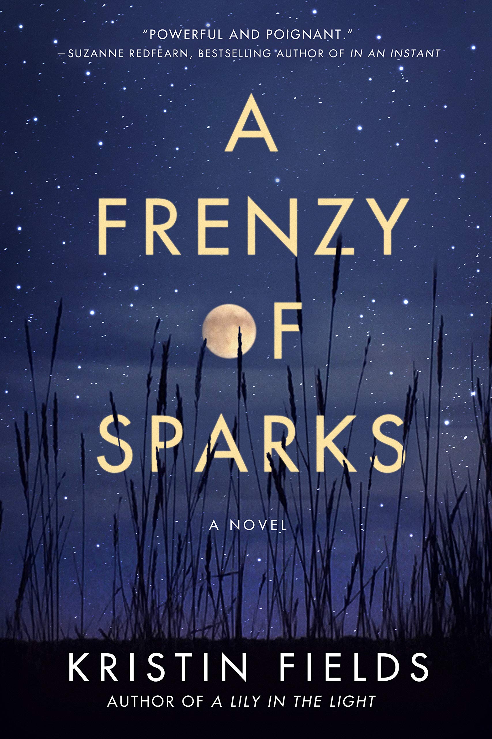 A Frenzy of Sparks (Kindle Edition)