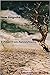 New Golgotha: Exiled from P...