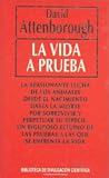 La vida a prueba