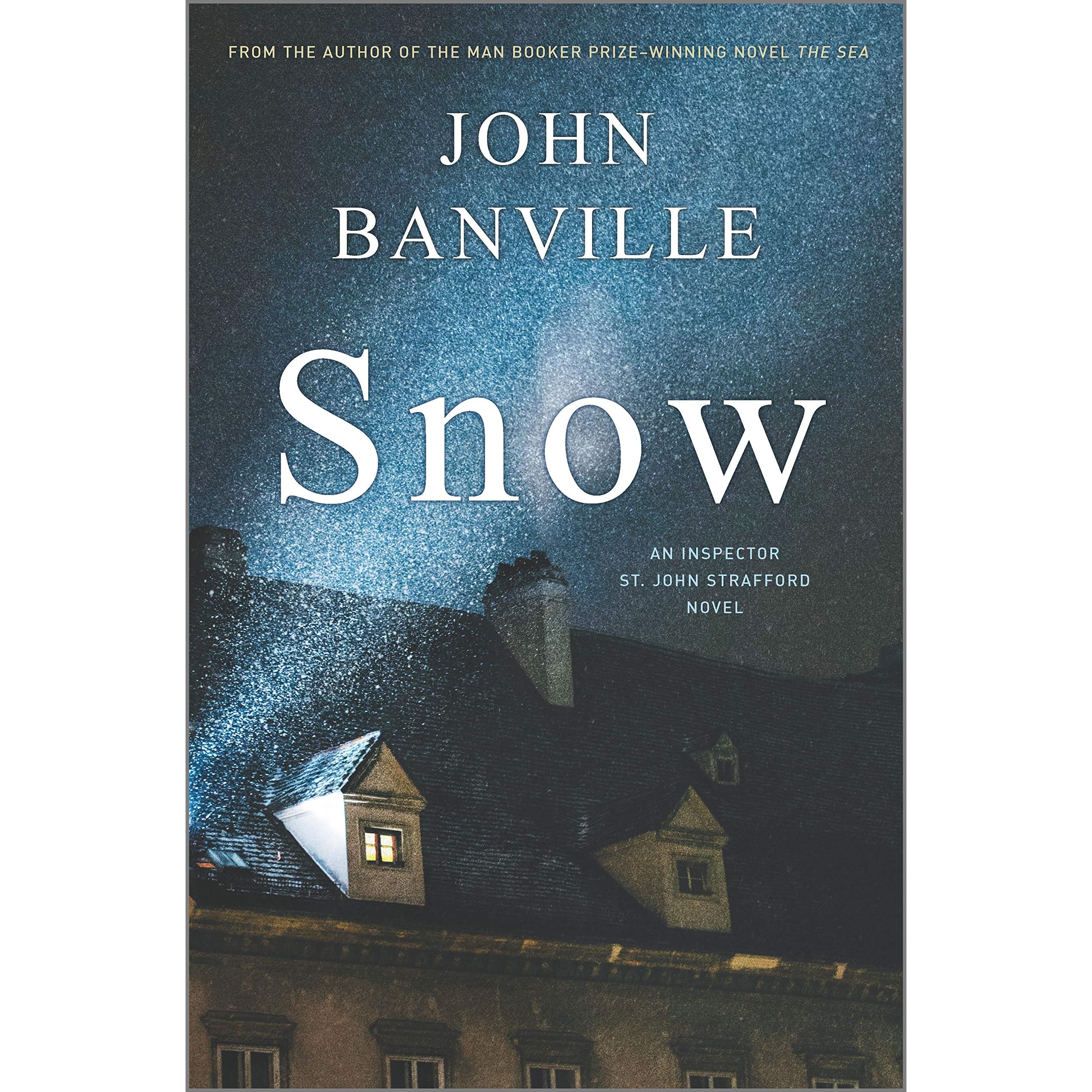 Snow by John Banville image