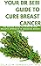 Your Dr Sebi Guide to Cure Breast Cancer: The Master Guide to Using Dr Sebi Holistic Approach in Managing Breast Cancer