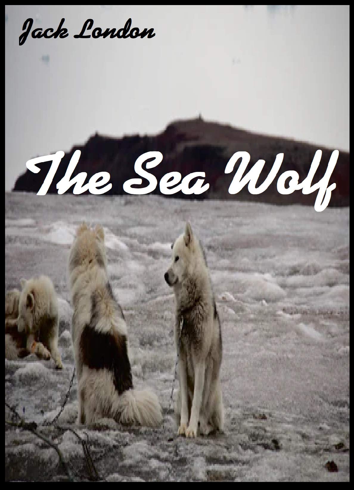 The Sea Wolf
