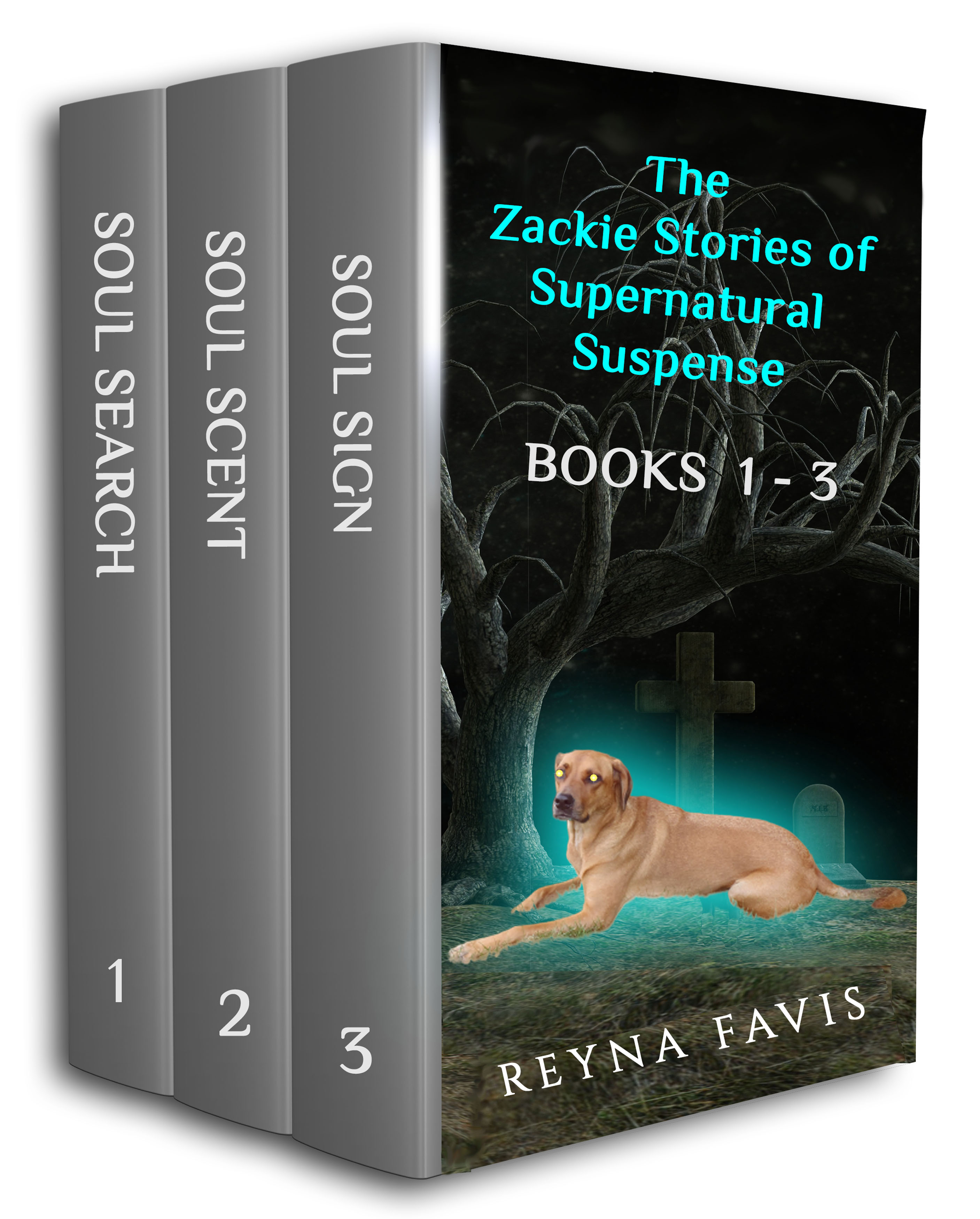 The Zackie Stories of Supernatural Suspense Books 1-3