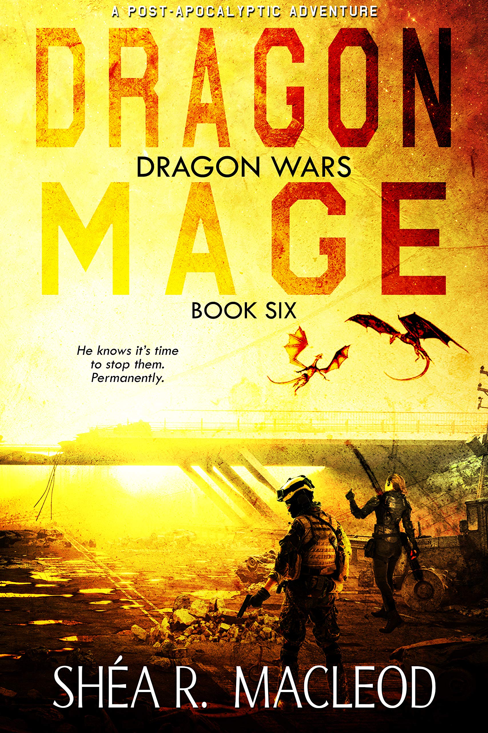 Dragon Mage: A Post-Apocalyptic Adventure (Dragon Wars Book 6)