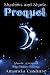 Shadows and Shade Prequel by Amanda Cashure Shadows and Shade Prequel by Amanda Cashure