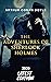 THE ADVENTURES OF SHERLOCK HOLMES (Annotated)