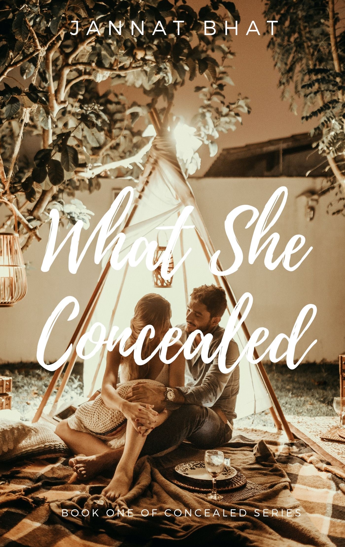 What She Concealed (Concealed, #1)
