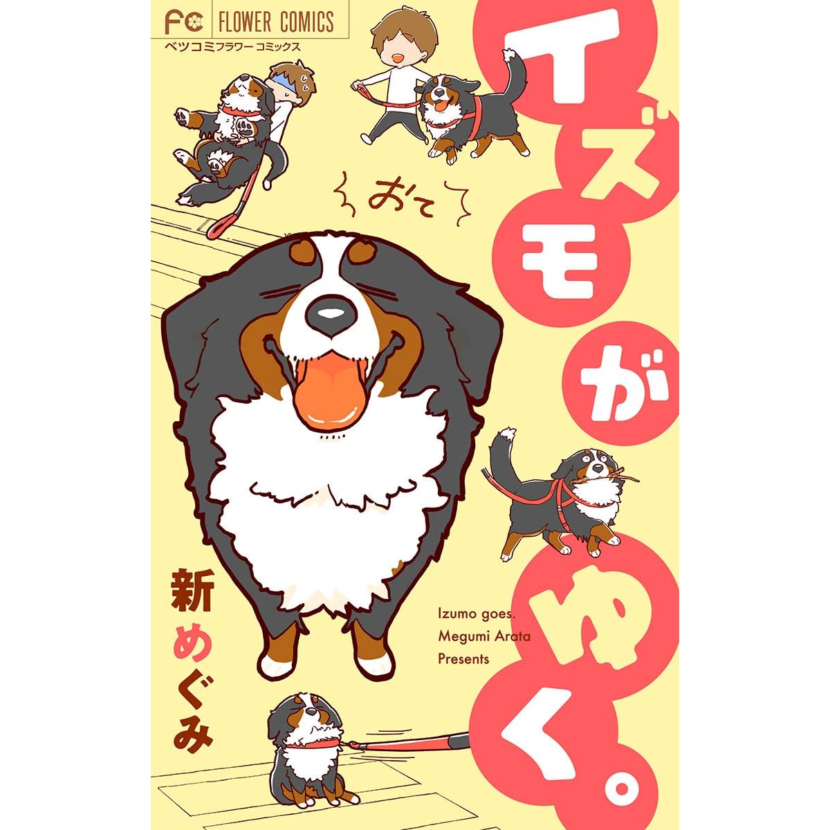 イズモがゆく おて 上 By 新めぐみ