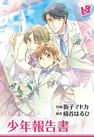 少年報告書 By 街子マドカ
