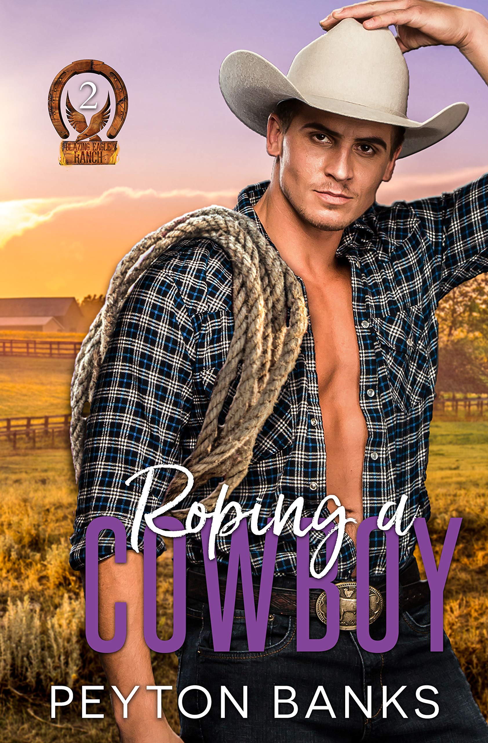 Roping a Cowboy (Blazing Eagle Ranch, #2)
