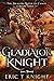 Gladiator Knight (The Drago...