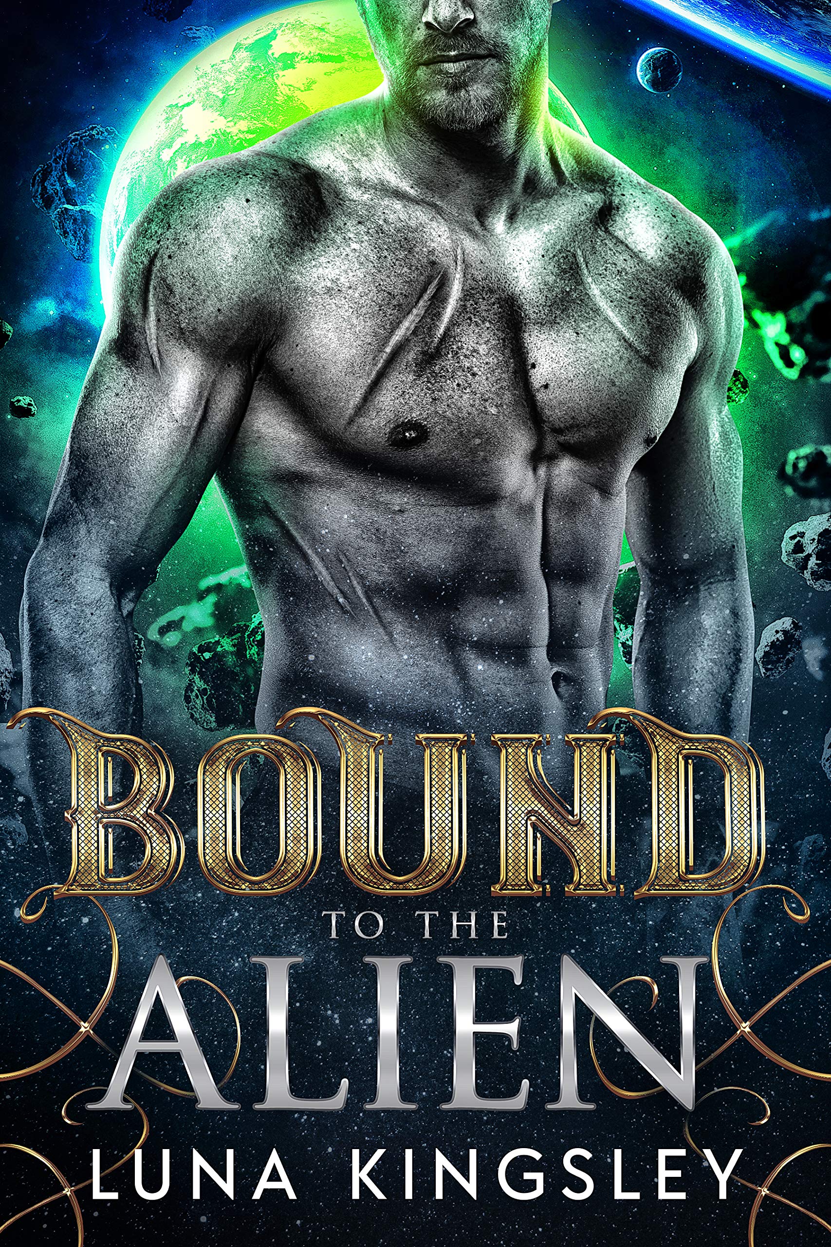 Bound to the Alien (Roh'ilian Warrior #2)