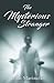 The Mysterious Stranger by John Marinelli