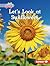 Let's Look at Sunflowers (P...
