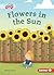 Flowers in the Sun (Plant Life Cycles (Pull Ahead Readers ― Fiction))