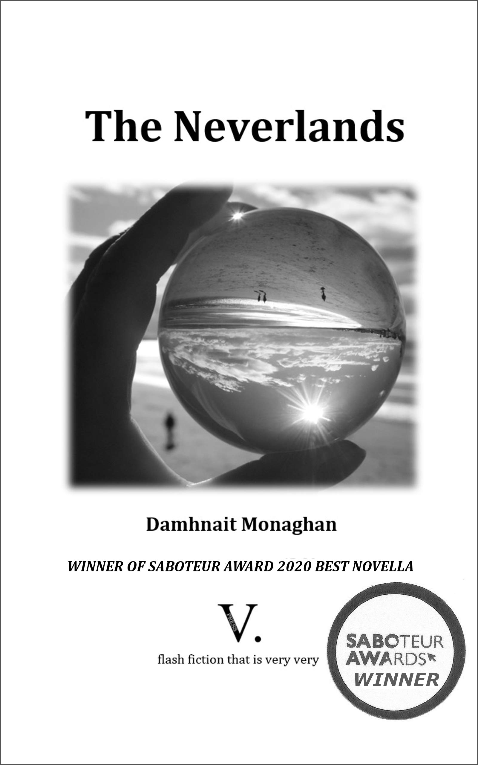 The Neverlands (Kindle Edition)