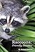 Raccoons by Richard A Nesmith