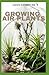 Growing Air Plants: Everyth...