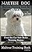 Maltese Dog, Maltese Traini...