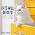 Cats Will Be Cats: The Ultimate Cat Quotebook