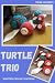 Chunky Turtles - Written Cr...