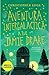 Aventura intergalactica a lui Jamie Drake (Romanian Edition)