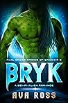 Bryk