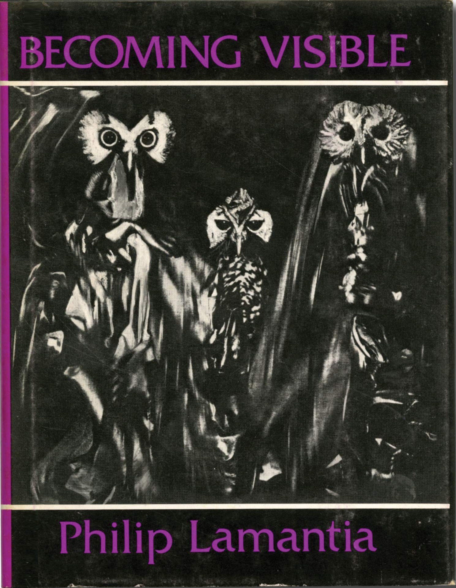 Becoming Visible (Paperback)