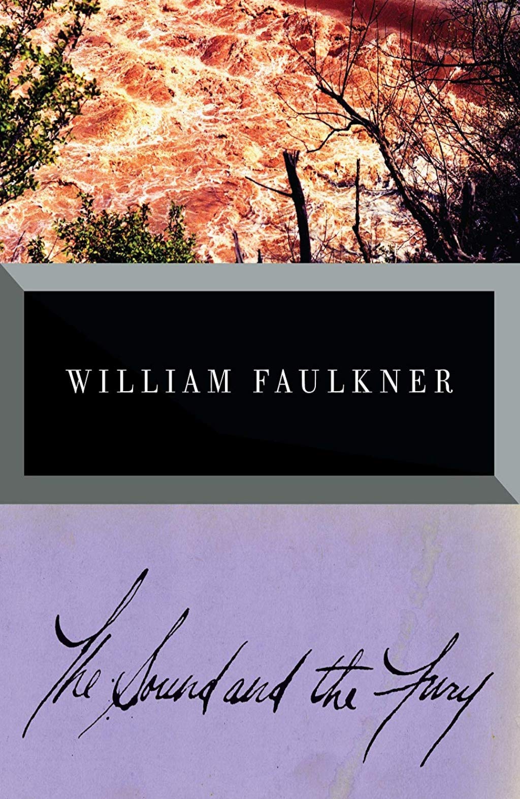 The Sound and the Fury.A Novel