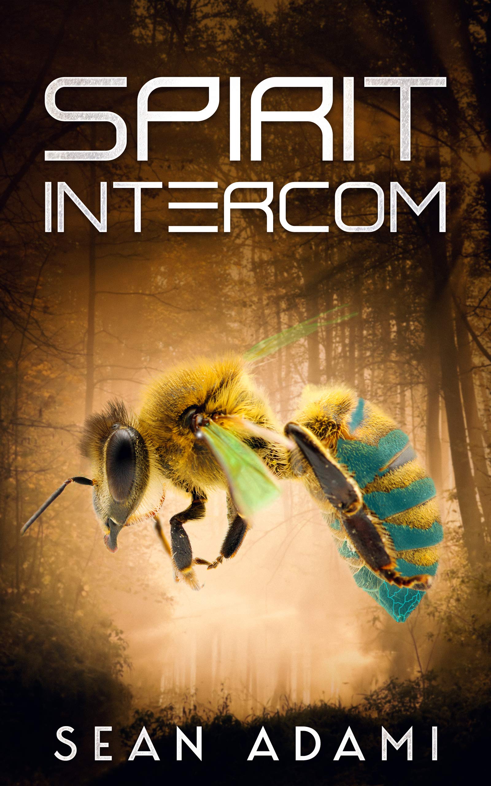 Spirit Intercom (Kindle Edition)