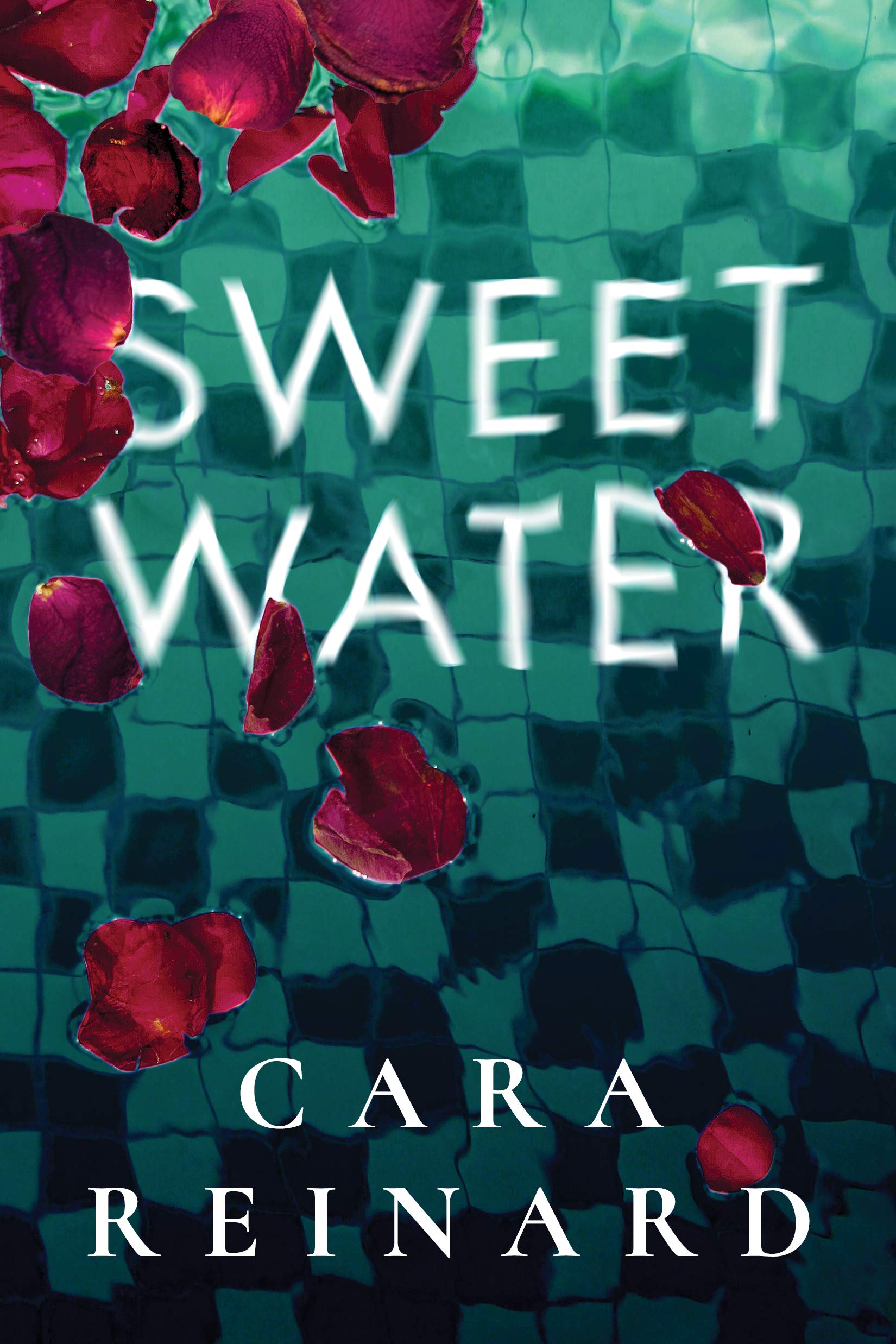 Sweet Water (Kindle Edition)