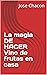 La magia DE HACER Vino de frutas en casa by Jose Chacón