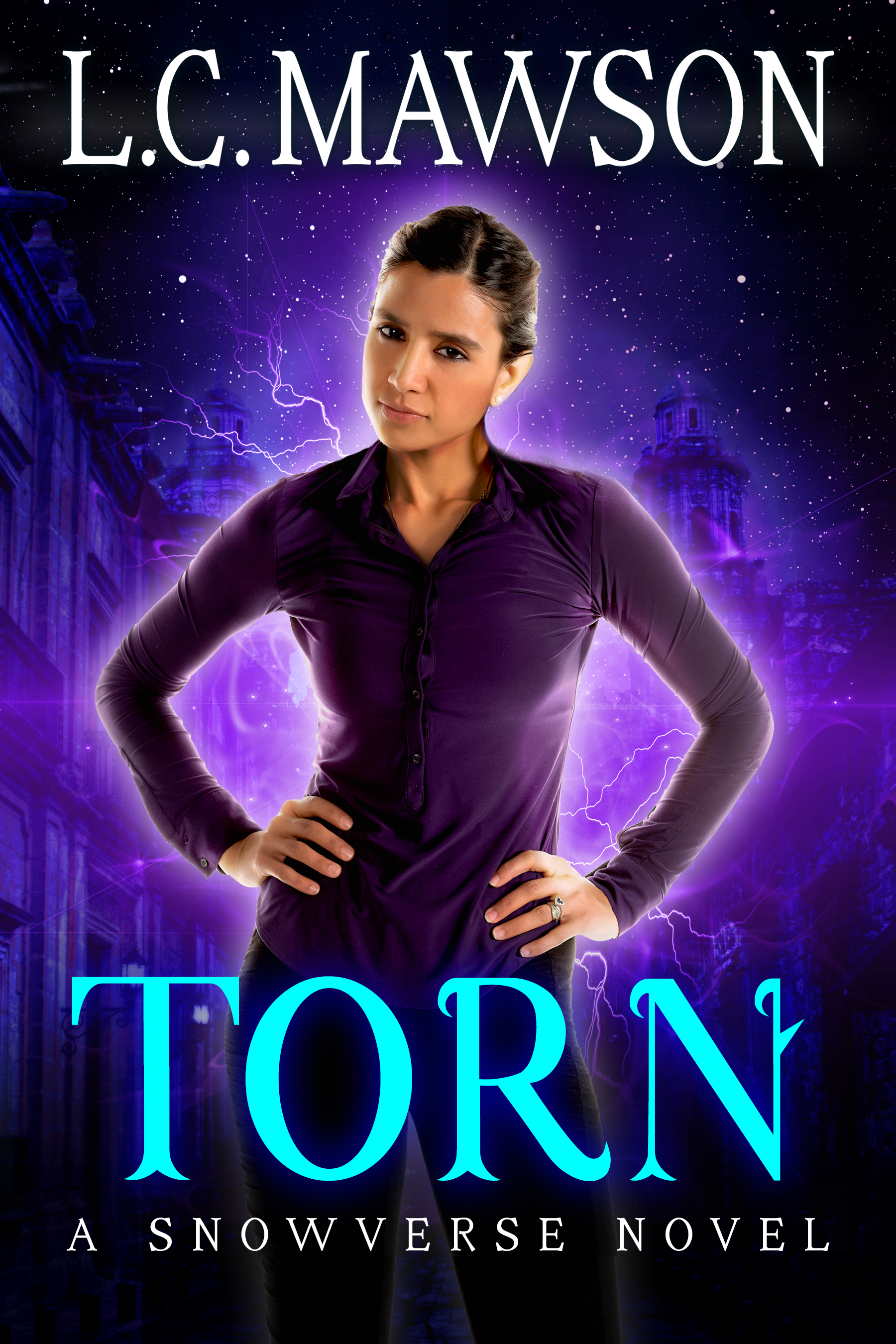 Torn (The Royal Cleaner, #7)