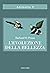 L'evoluzione della bellezza