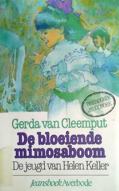 De bloeiende mimosaboom