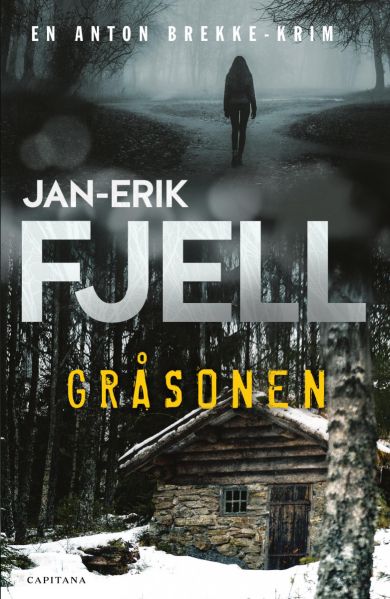 Gråsonen (Anton Brekke, #7)