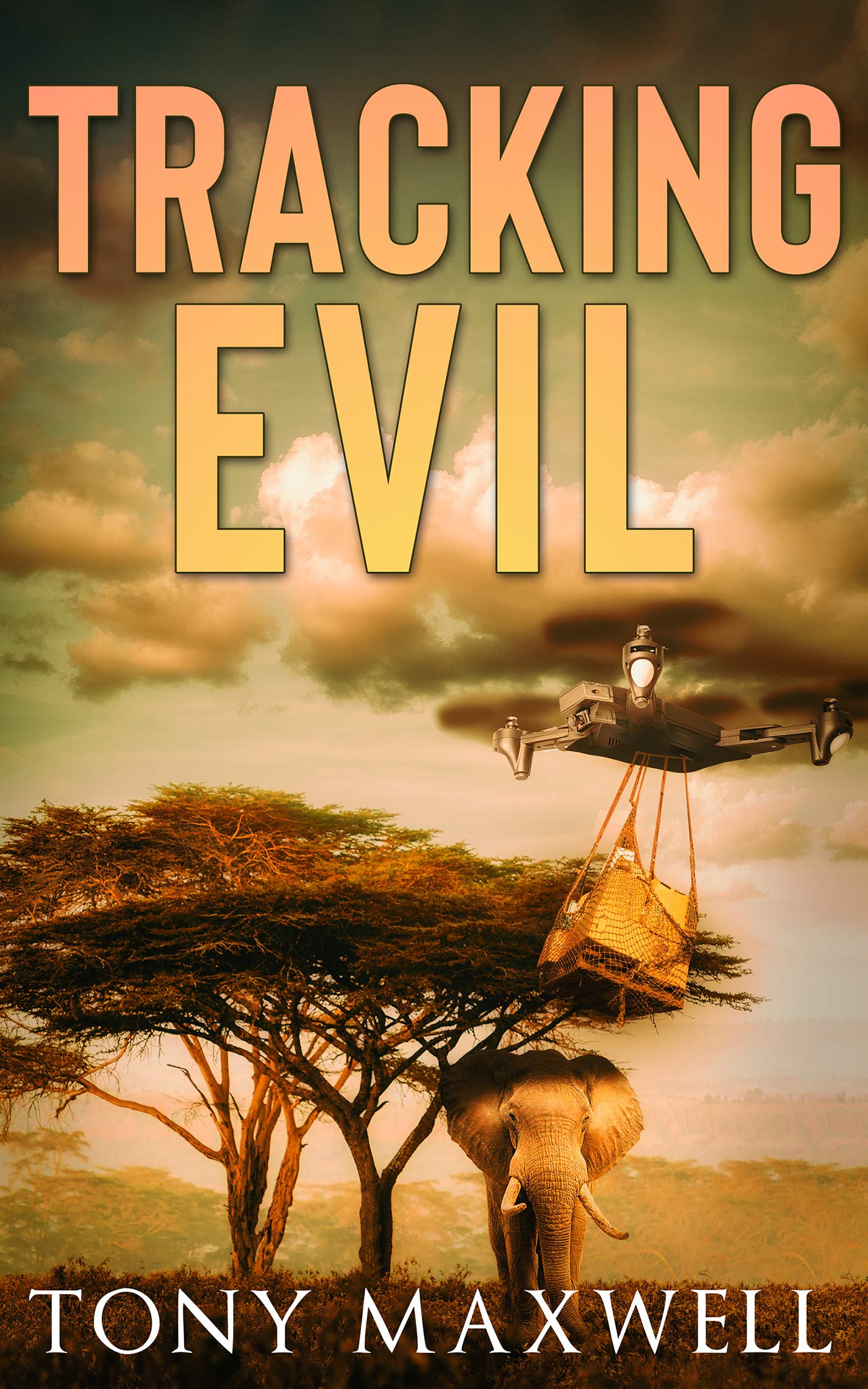 TRACKING EVIL: An African Adventure Story (Kindle Edition)