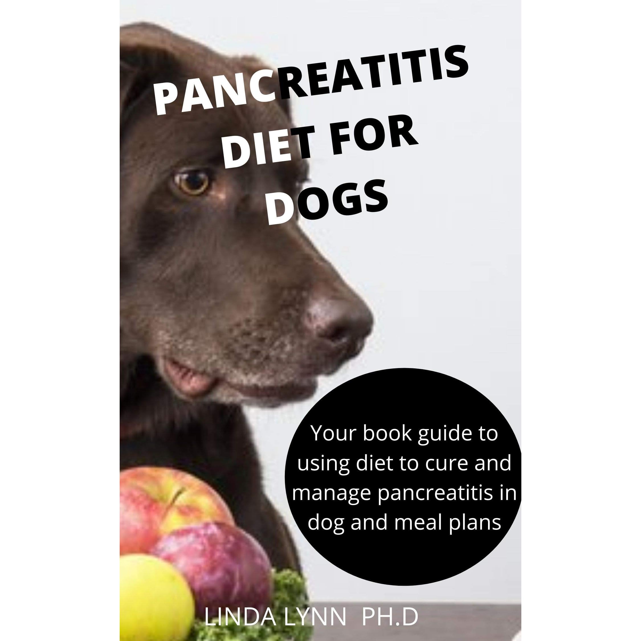 Can Pancreatitis In Dogs Be Cured