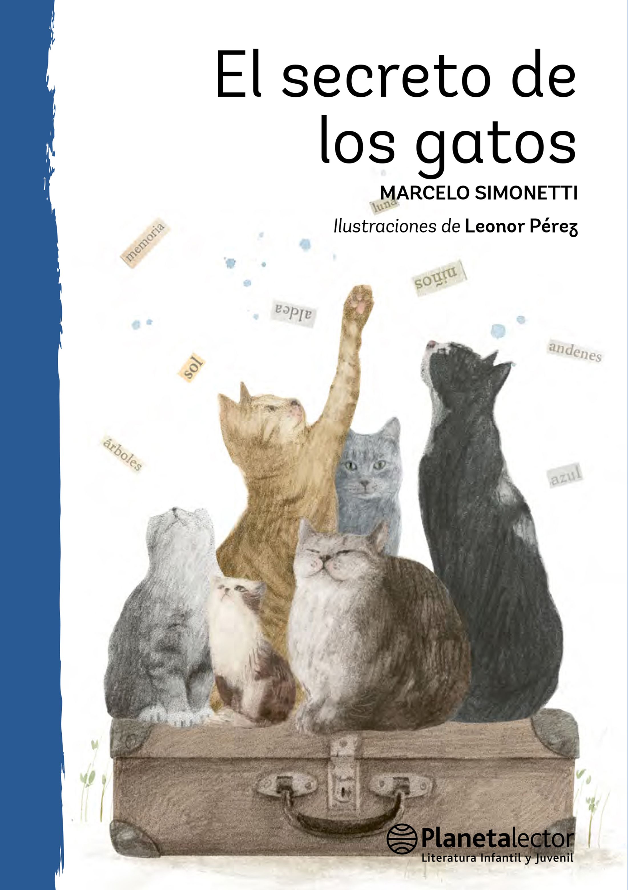 El secreto de los gatos