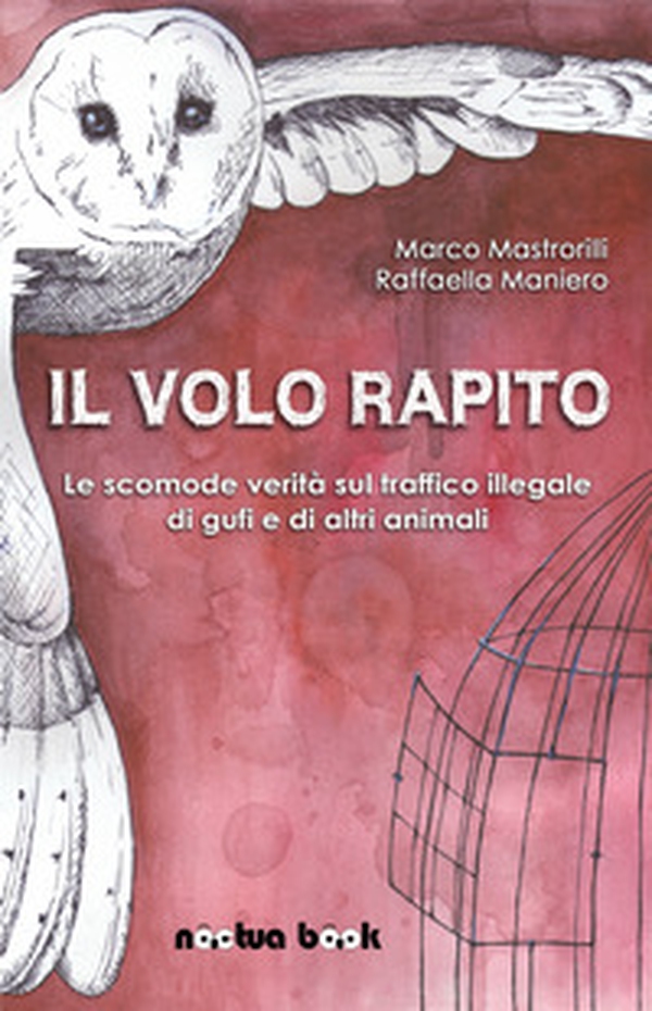Il volo rapito