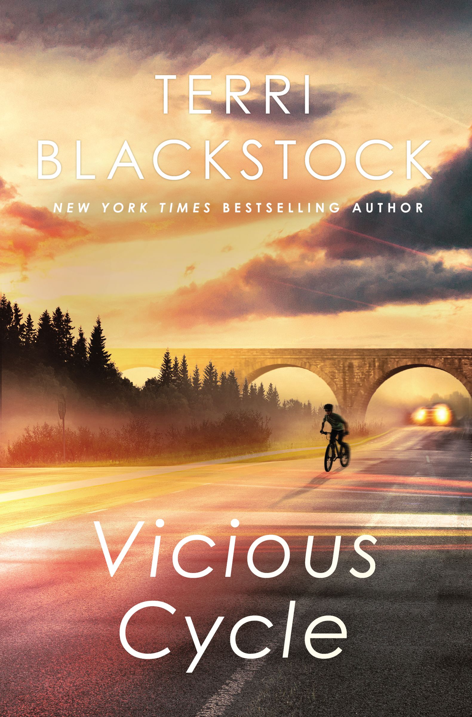 Vicious Cycle: An emotionally charged thriller (An Intervention Novel)