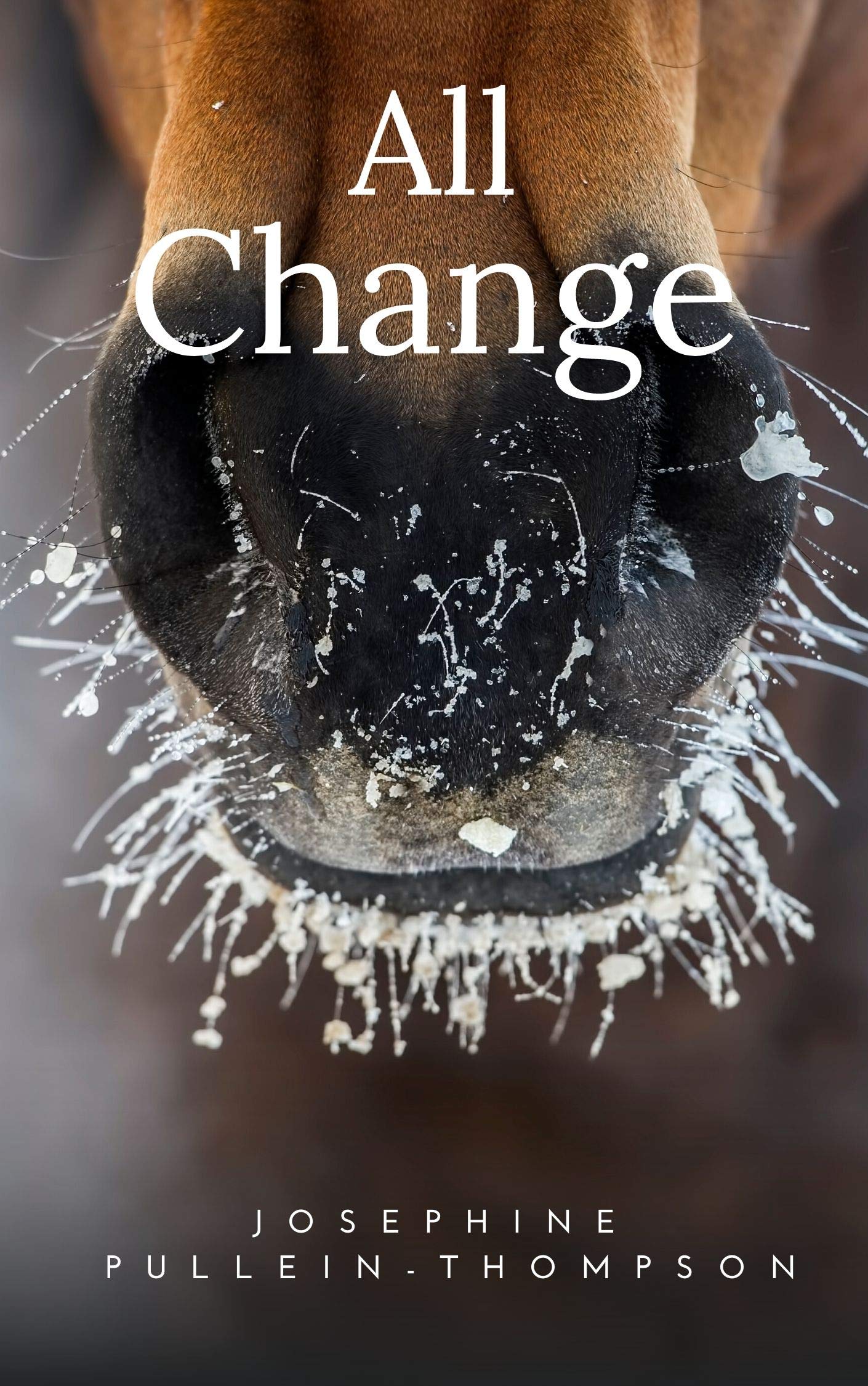 All Change (Kindle Edition)