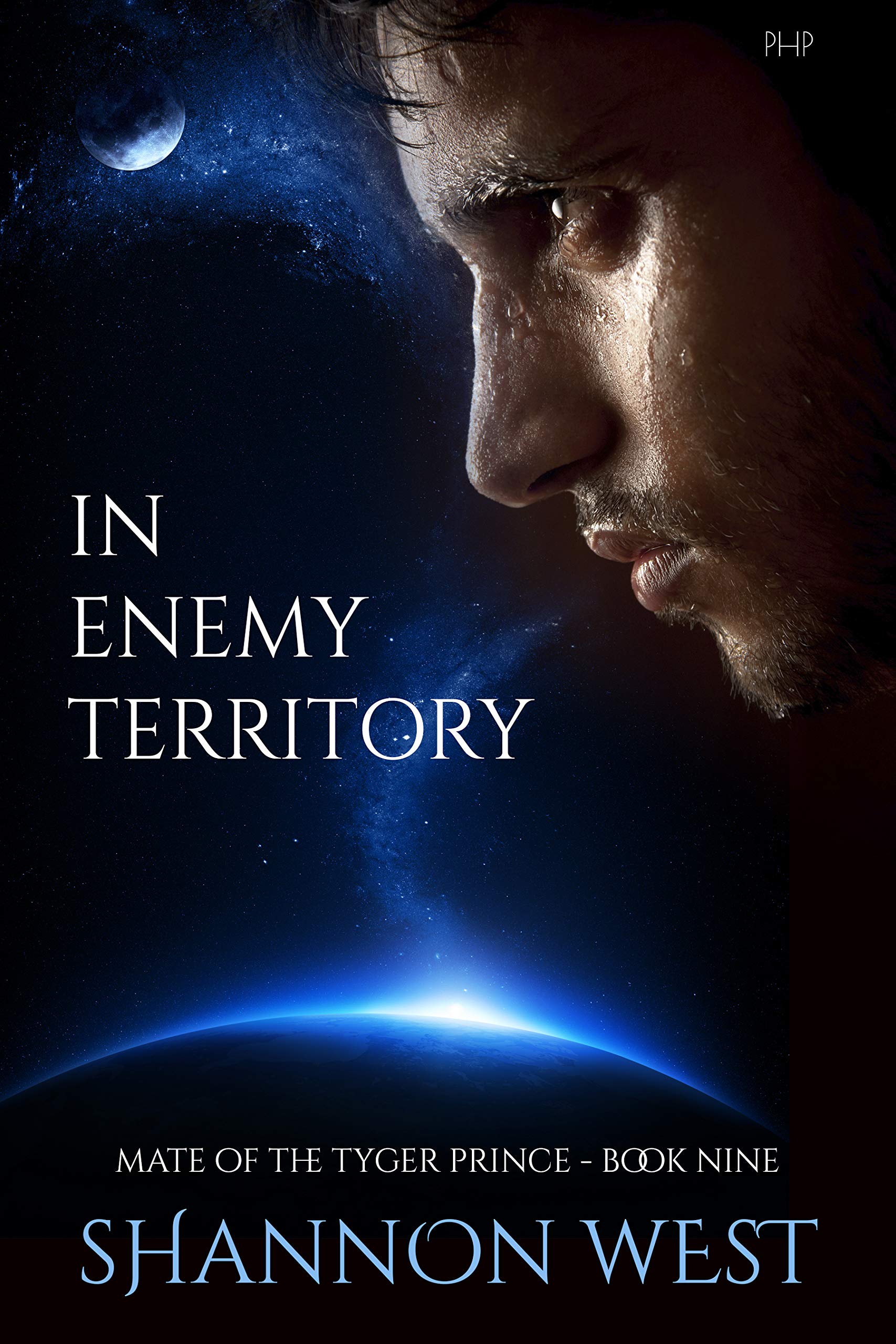 In Enemy Territory (Mate of the Tyger Price #9)