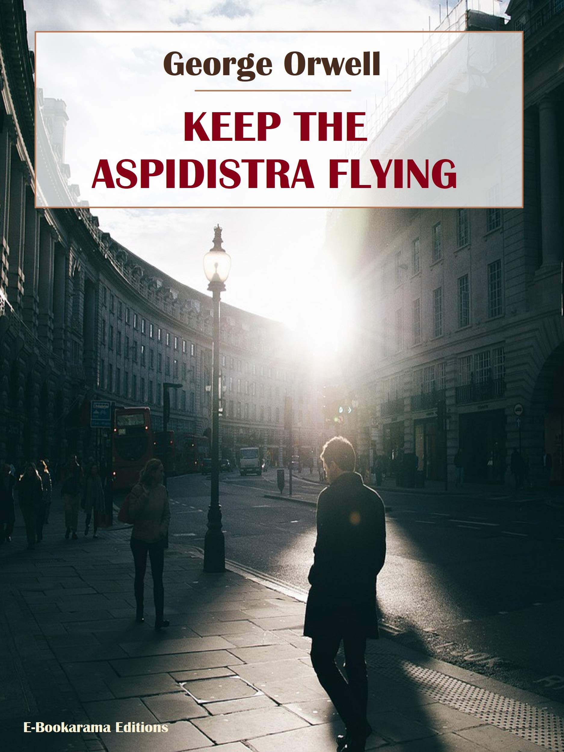 Keep The Aspidistra Flying