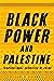 Black Power and Palestine: Transnational Countries of Color