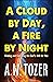 A Cloud by Day, a Fire by Night (DF Christian Bestsellers Book 2)