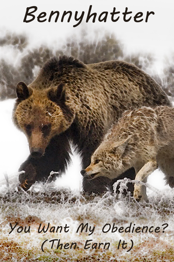 You Want My Obedience? (Then Earn It)