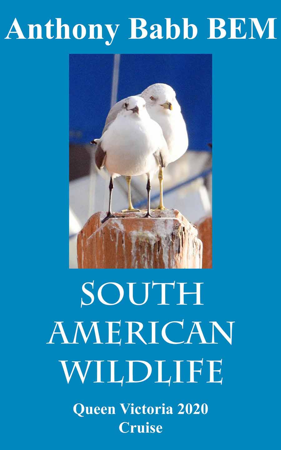 South American Wildlife